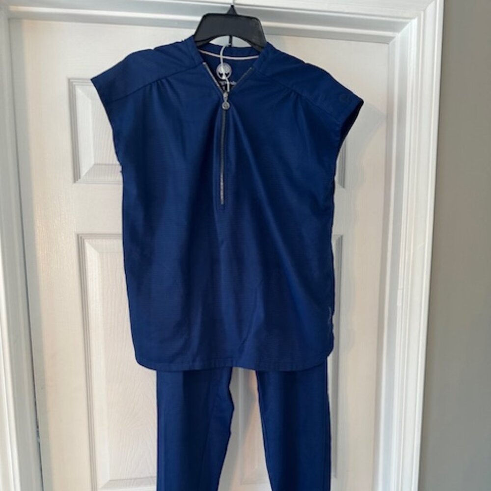 Healing Hands blue reptile print scrubs